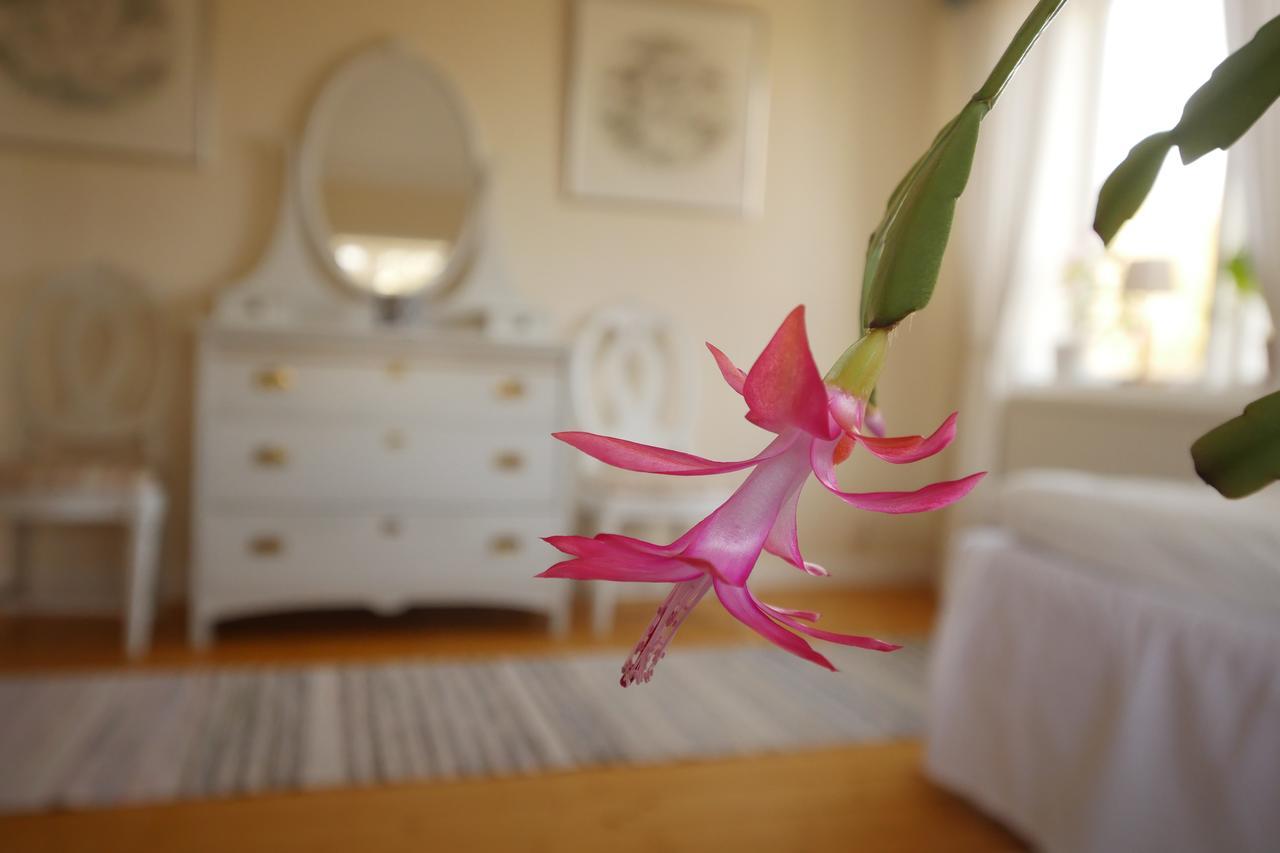 Bed and Breakfast Groena Anaes à ostra Loa Extérieur photo